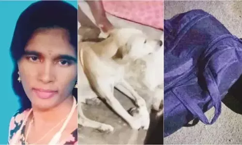 3 बैग में कन्याकुमारी संध्या.. कुत्ते ने मारीमुथु को कैसे धोखा दिया?