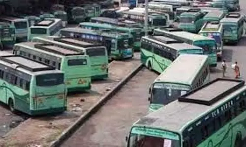 TNSTC ने क्रिसमस त्यौहार के लिए विशेष बसों की घोषणा की