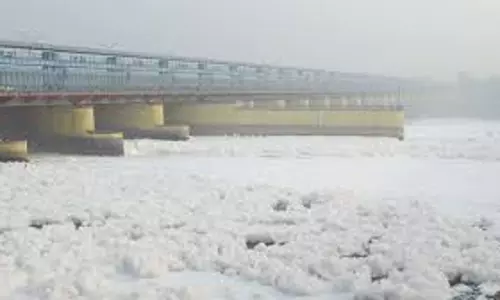 New Delhi: सीवेज से फूल रही यमुना नदी की सांस: सीपीसीबी New Delhi: सीवेज से फूल रही यमुना नदी की सांस: सीपीसीबी