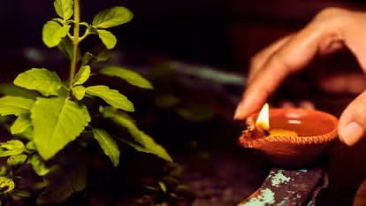 Tulsi Pujan Diwas पर भूलकर भी न करें ये गलतियां, होगी धन हानि Tulsi Pujan Diwas पर भूलकर भी न करें ये गलतियां, होगी धन हानि