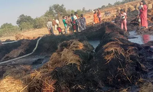 Palamu: खलिहान में लगी आग, पुआल जलकर खाक Palamu: खलिहान में लगी आग, पुआल जलकर खाक