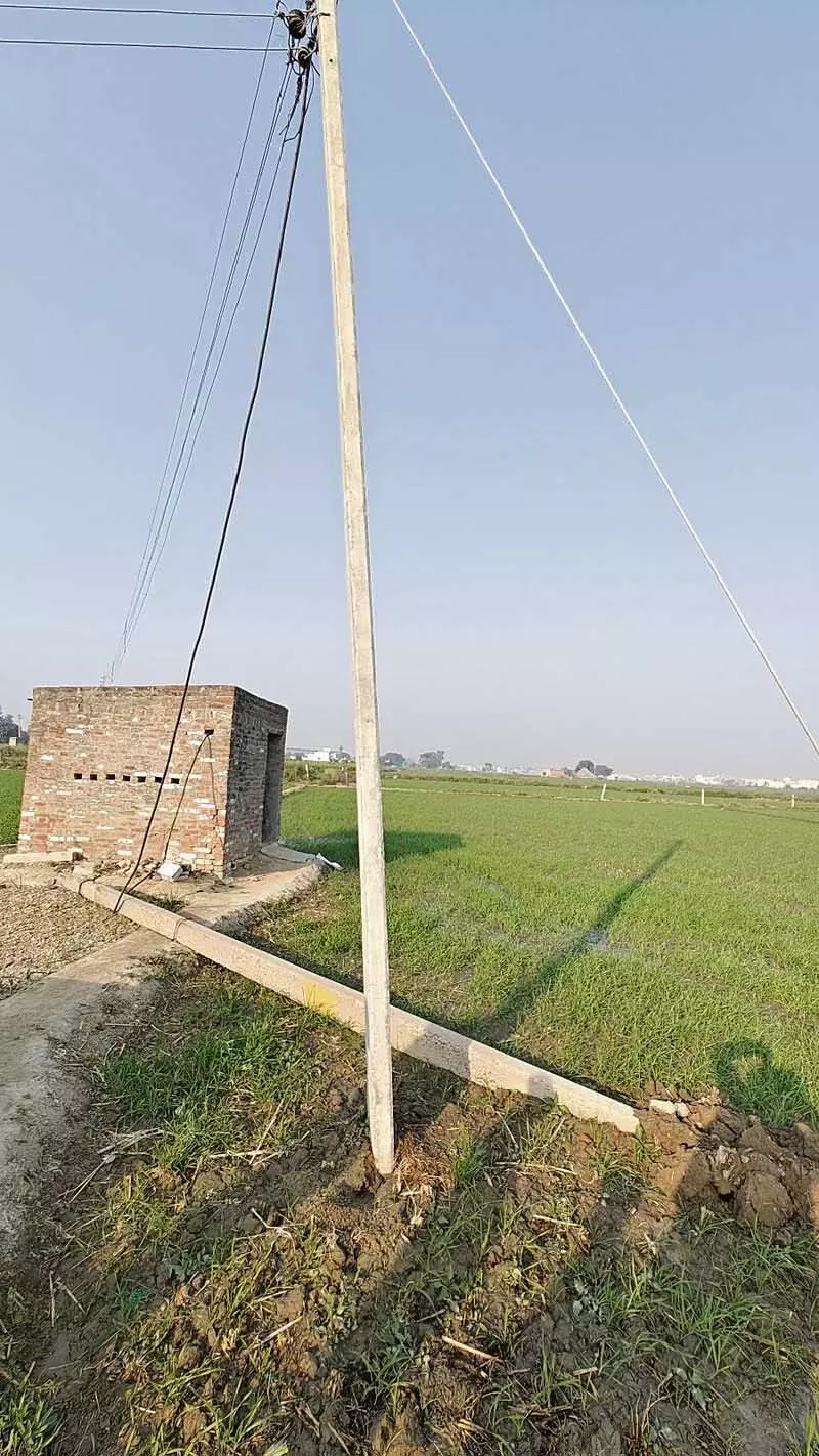 Haryana : बिजली का झटका लगने का खतरा मंडरा रहा