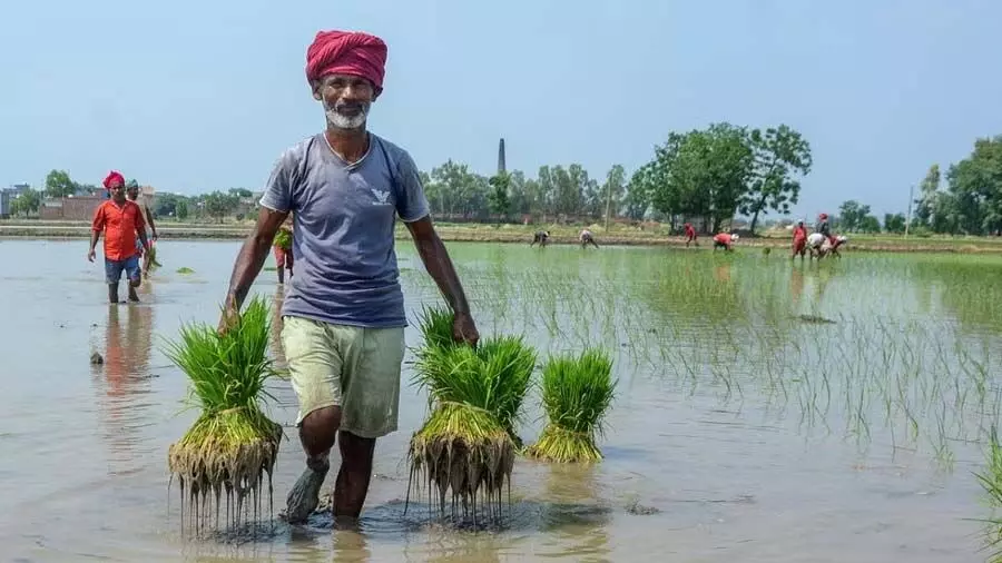 Karnataka में किसानों की आत्महत्या के मामलों में आई कमी