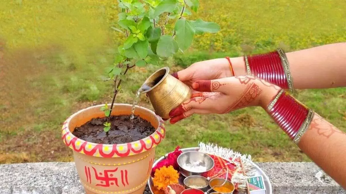 Tulsi Pujan Diwas पर गलतियों से रूठ सकती हैं मां लक्ष्मी