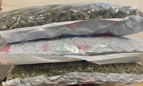 11 करोड़ का गांजा एयरपोर्ट से जब्त, यात्री गिरफ्तार 11 करोड़ का गांजा एयरपोर्ट से जब्त, यात्री गिरफ्तार