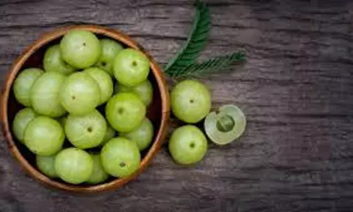 Recipe: बच्चे भी मजे से खाएंगे आंवले की चटपटी मसालेदार सब्जी