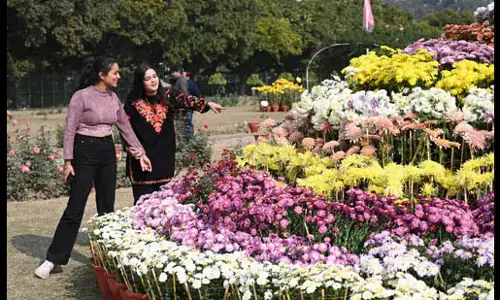 Chandigarh में सप्ताहांत में हल्का कोहरा छा सकता है: मौसम विभाग
