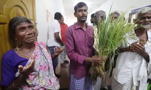 Tamil Nadu: तमिलनाडु के किसानों ने फसल क्षति के लिए मुआवजे की मांग की Tamil Nadu: तमिलनाडु के किसानों ने फसल क्षति के लिए मुआवजे की मांग की