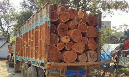 Kathua :अवैध लकड़ी से भरी ट्रक की जब्त, एक गिरफ्तार