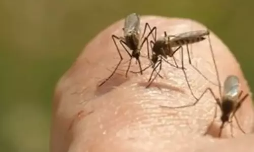 Australia में मांस खाने वाले अल्सर को लेकर स्वास्थ्य चेतावनी जारी की गई