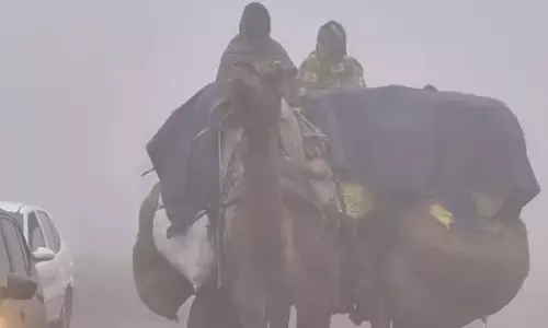 Rajasthan Weather: फतेहपुर में घना कोहरा छाया, तापमान 4.3 डिग्री तक गिरा