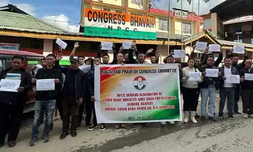 NPCC ने डॉ. बी.आर. अंबेडकर पर शाह की टिप्पणी के खिलाफ शांतिपूर्ण विरोध