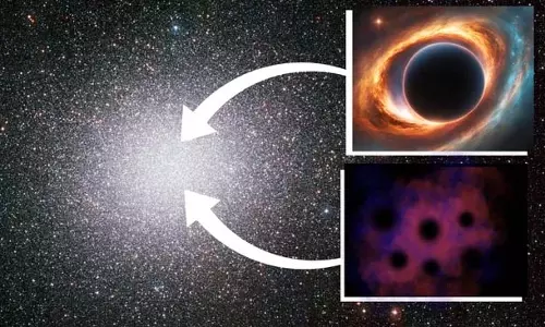लापता लिंक ब्लैक होल मिल गया? इतनी जल्दी नहीं, नया अध्ययन लापता लिंक ब्लैक होल मिल गया? इतनी जल्दी नहीं, नया अध्ययन