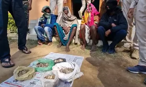 Nuapada: छापेमारी के दौरान पैंगोलिन के शल्क जब्त
