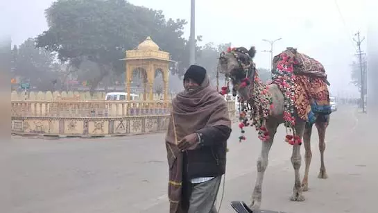 चंडीगढ़ मौसम पूर्वानुमान और AQI 22 दिसंबर: न्यूनतम और अधिकतम तापमान देखें