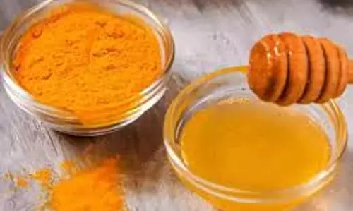 Skin Care: हल्दी में ये चीजें मिलाकर चेहरे पर लगाएं, कुछ ही दिनों में मिलेगी बेदाग और निखरी त्वचा Skin Care: हल्दी में ये चीजें मिलाकर चेहरे पर लगाएं, कुछ ही दिनों में मिलेगी बेदाग और निखरी त्वचा