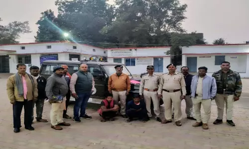 हाथी को करंट लगाकर मारा, वन विभाग की गिरफ्त में 2 आरोपी