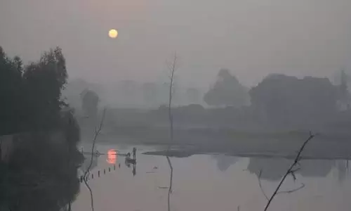 शीत लहर तेज: दिल्ली में घना कोहरा, AQI फिर गंभीर, मुंबई में दृश्यता खराब