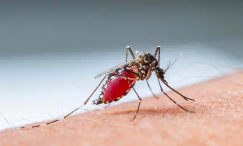 ऑस्ट्रेलिया में मांस खाने वाले अल्सर को लेकर स्वास्थ्य चेतावनी जारी की गई