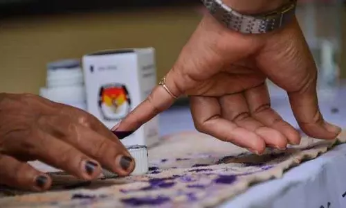 punjab : मलेरकोटला उपचुनाव में निर्दलीय की जीत