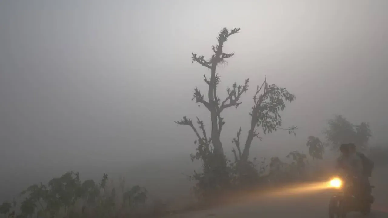 Bhopal समेत प्रदेश के कई हिस्‍सों में छाया घना कोहरा