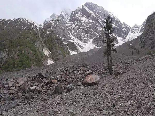 POGB में वनों की कटाई में वृद्धि के कारण बढ़ रहे जलवायु परिवर्तन और स्वास्थ्य जोखिम