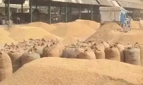 धान रखने सोसायटी में जगह नहीं, खरीदी बंद होने से किसान परेशान