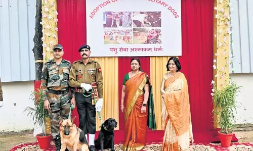 सेवानिवृत्त सैन्य कुत्ते विशेष बच्चों के लिए खुशियाँ फैलाएँगे सेवानिवृत्त सैन्य कुत्ते विशेष बच्चों के लिए खुशियाँ फैलाएँगे