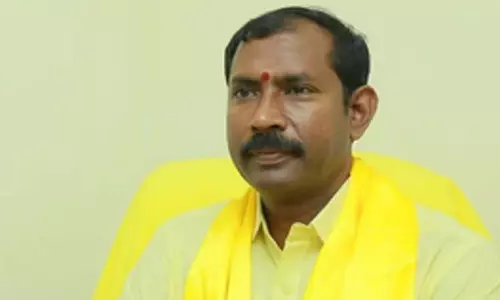 Palla Srinivasa Rao: पुष्पा भगदड़ के लिए आरोप-प्रत्यारोप बंद करें