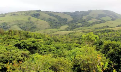 Andhra में वन एवं वृक्ष क्षेत्र में मामूली गिरावट दर्ज की