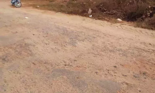 Haryana : वन मंजूरी संबंधी मुद्दों के कारण 137 करोड़ रुपये की पलवल-नूंह राजमार्ग परियोजना रुकी Haryana : वन मंजूरी संबंधी मुद्दों के कारण 137 करोड़ रुपये की पलवल-नूंह राजमार्ग परियोजना रुकी
