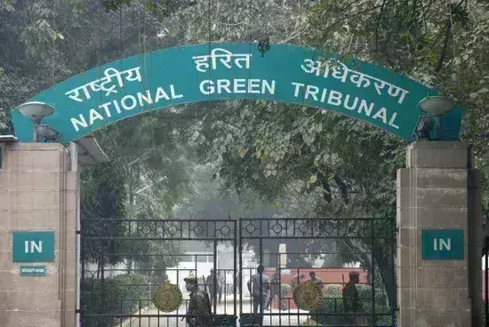 New Delhi: दिल्ली के जल निकायों का दम प्रदूषण से घुटा: एनजीटी New Delhi: दिल्ली के जल निकायों का दम प्रदूषण से घुटा: एनजीटी