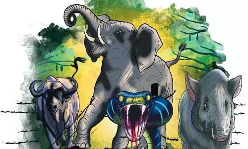 Kerala के शोधकर्ताओं ने मानव बस्तियों के पास वन्यजीवों की निगरानी के लिए
