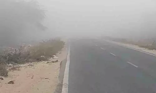 Banaskantha के सीमावर्ती संभाग में बदला मौसम, फैली कोहरे की चादर
