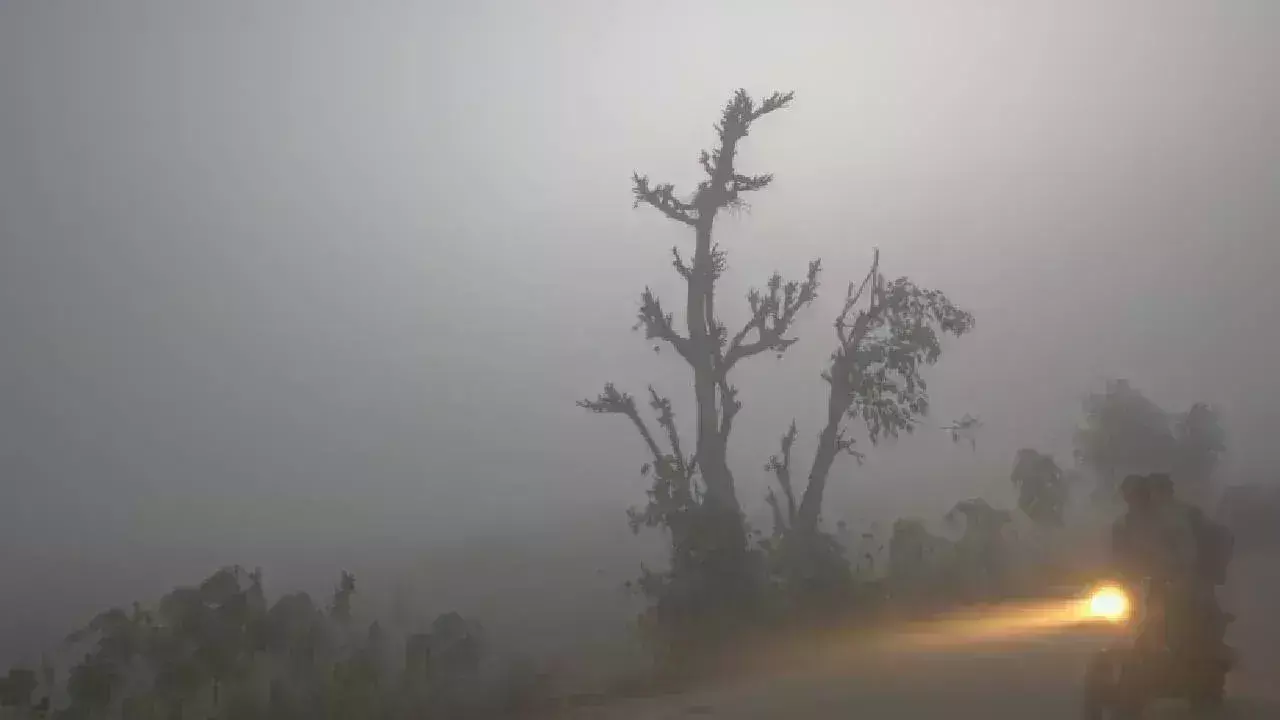 Bhopal समेत प्रदेश के कई हिस्सों में छाया घना कोहरा Bhopal समेत प्रदेश के कई हिस्सों में छाया घना कोहरा