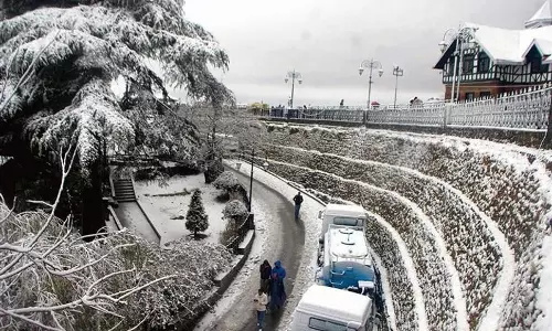 Himachal : क्रिसमस से पहले शिमला में बर्फबारी से स्थानीय लोगों और पर्यटकों में खुशी
