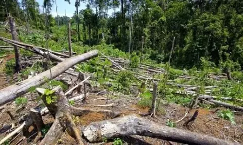 Arunachal प्रदेश में वन क्षेत्र में गिरावट जारी