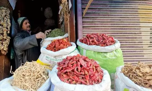 Kashmir में धूप में सुखाई गई सब्जियाँ सर्दियों में पसंदीदा बनी हुई