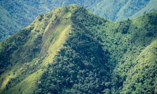 Meghalaya ने दो साल में 84 वर्ग किलोमीटर से अधिक वन क्षेत्र खो दिया