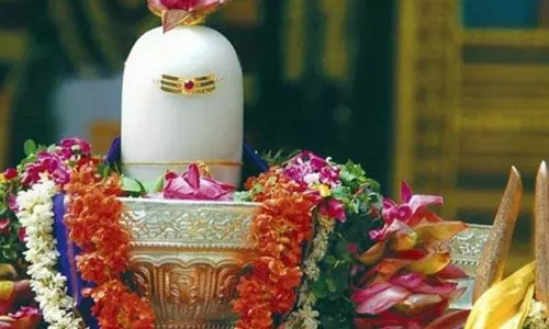 भगवान शिव की पूजा में ये चीजें वर्जित भगवान शिव की पूजा में ये चीजें वर्जित