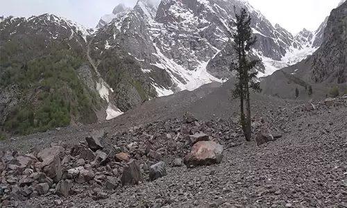 PoGB में वनों की कटाई में वृद्धि के बीच जलवायु परिवर्तन, स्वास्थ्य जोखिम बढ़ रहे