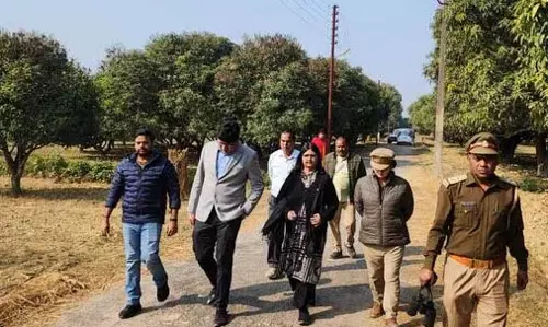 Rehmankheda: वन विभाग तैयार, बाघ का इंतजार Rehmankheda: वन विभाग तैयार, बाघ का इंतजार