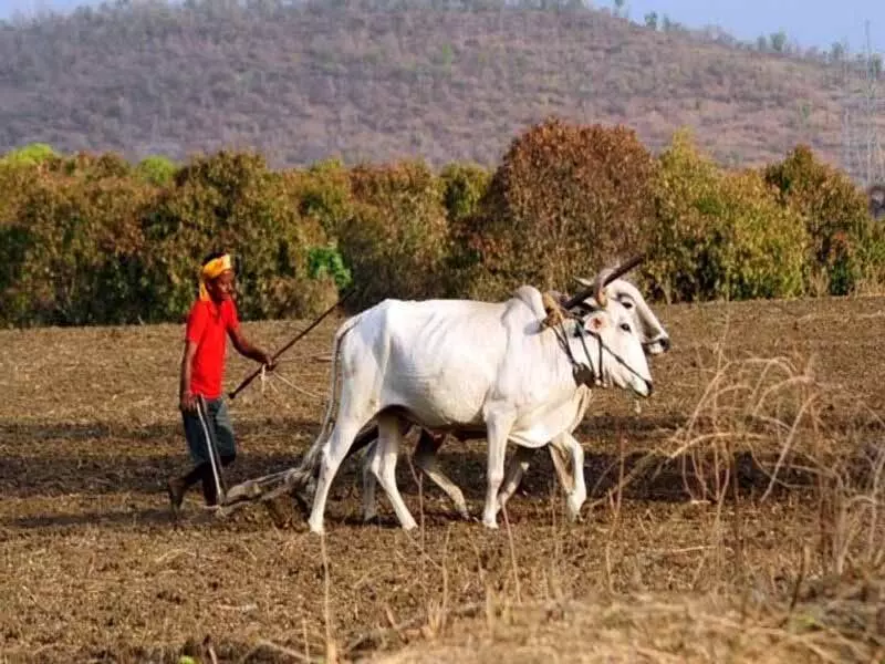 उत्तर प्रदेश को 1599 करोड़ रुपये और आंध्र को 446 करोड़ रुपये दिए