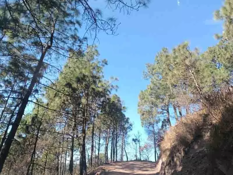 Kasauli सड़क का कंक्रीटीकरण आवश्यक