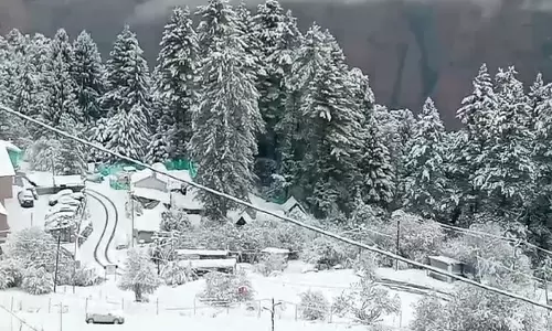 Uttarakhand:औली में 1 फीट बर्फबारी, पर्यटन कारोबारियों के चेहरे खिले