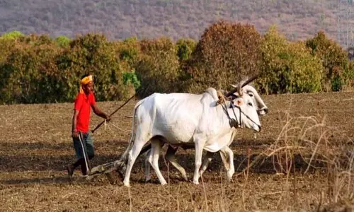 उत्तर प्रदेश को 1599 करोड़ रुपये और आंध्र को 446 करोड़ रुपये दिए
