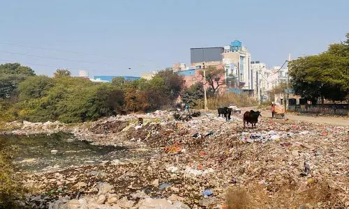 Haryana :  सोनीपत में सड़कें गंदी हालत में हैं