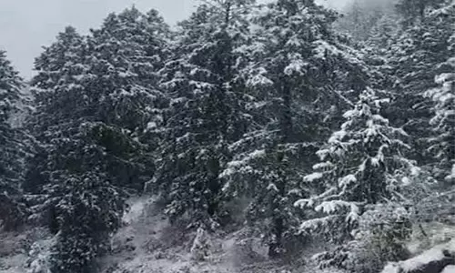 Himachal में भारी बर्फबारी से जनजीवन अस्त-व्यस्त, पर्यटकों में खुशी Himachal में भारी बर्फबारी से जनजीवन अस्त-व्यस्त, पर्यटकों में खुशी