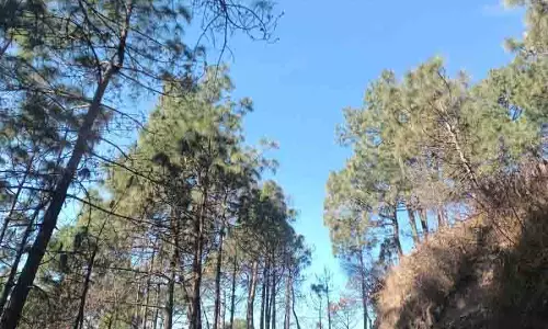 Kasauli सड़क का कंक्रीटीकरण आवश्यक