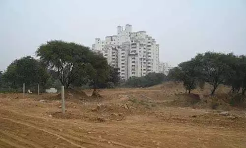 Gurugram: सिलोखरा तालाब पुनर्विकास में देरी पर एनजीटी सख्त, गिरफ्तारी की चेतावनी
